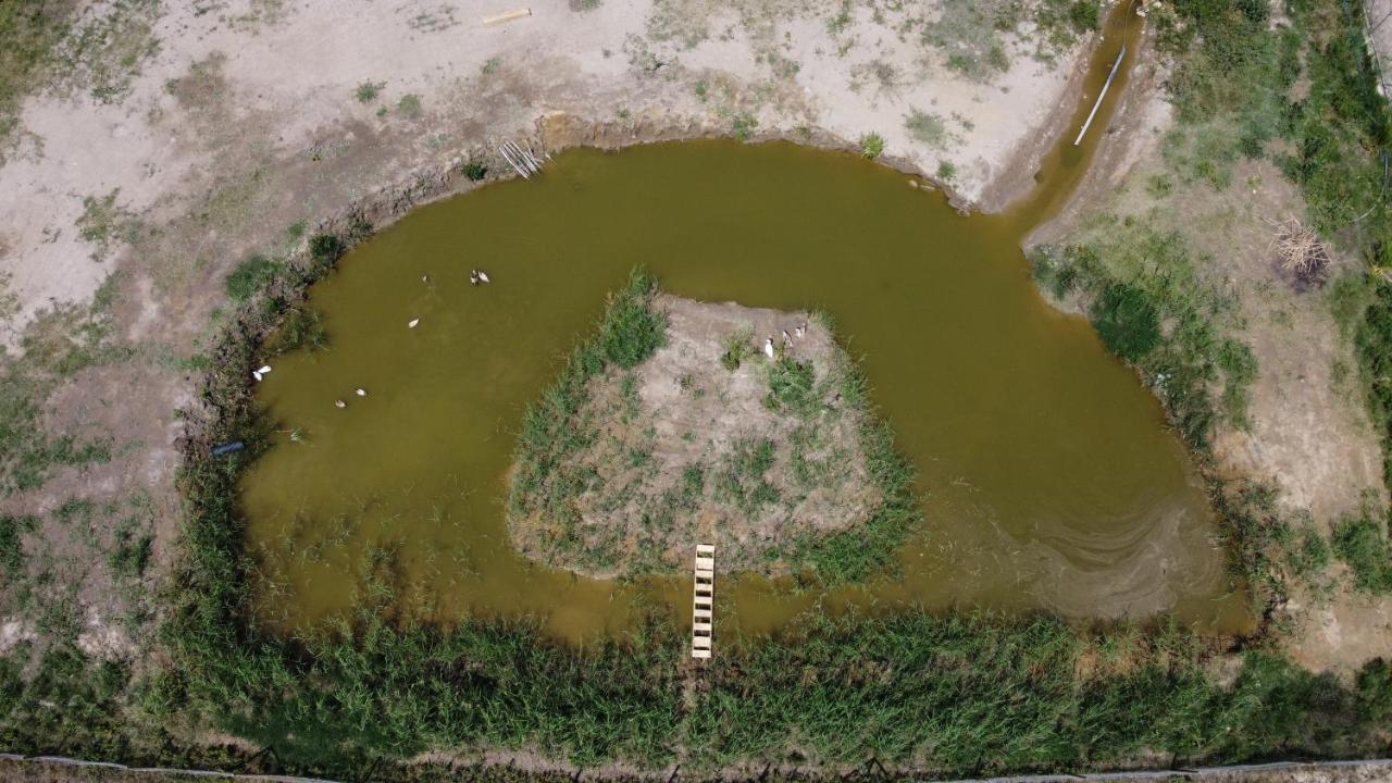 람폴라 La Finestra Del Delta 게스트하우스 외부 사진